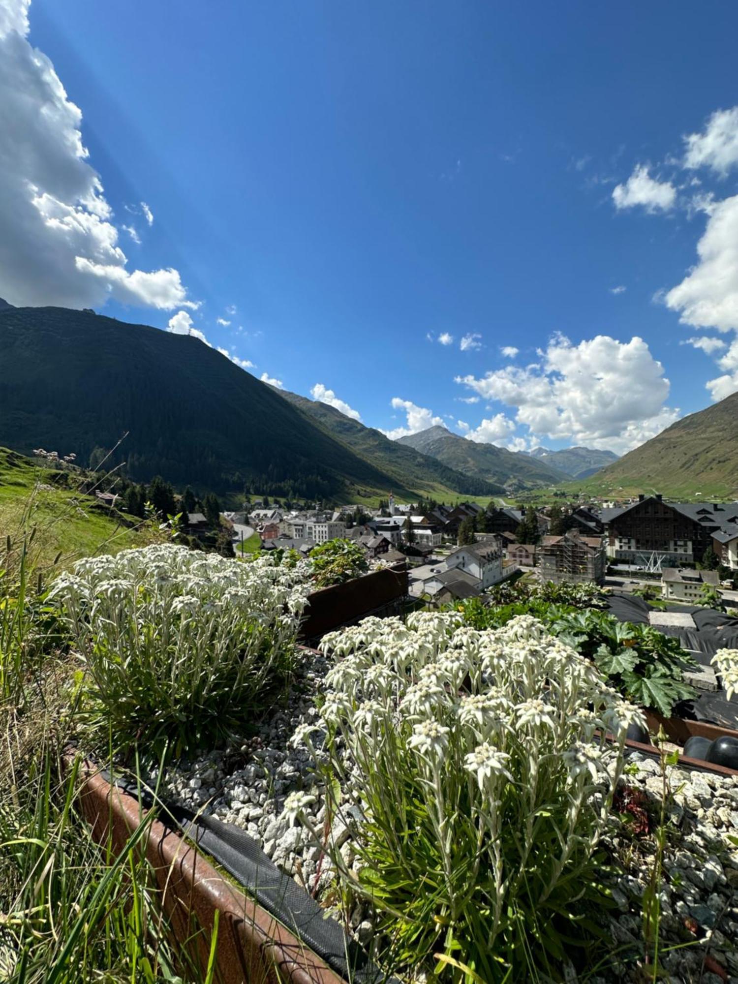 Vila Basecamp Andermatt Exteriér fotografie